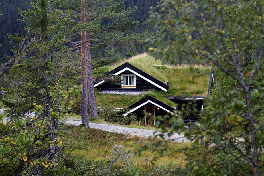 Hébergement insolite escapadenaturelle - chalet